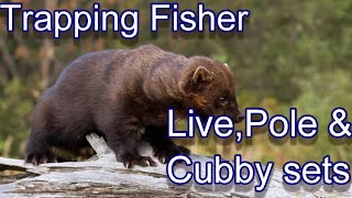 How to Trap Fisher, Three different setups Focus on Trapping