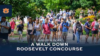 Auburn in 4K Roosevelt Concourse