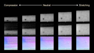 SIGGRAPH2014 - Measurement and modeling of microfacet distributions under deformation