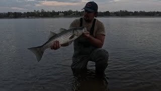 SPRING STRIPERS ON THE DELAWARE RIVER HOT ACTION!