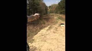 Iver Johnson .32 S&W