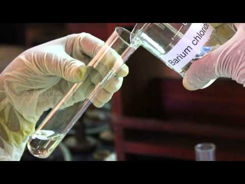 Reaction Between Sodium Sulphate and Barium Chloride Solution - MeitY OLabs