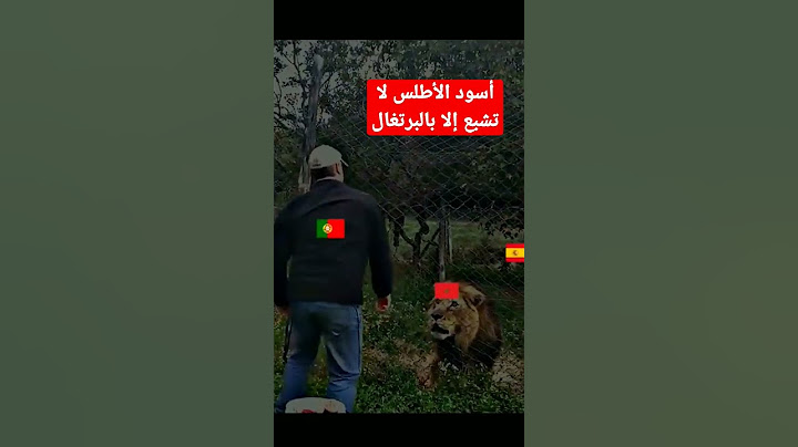 أسود الأطلس لا تشبع إلا بالبرتغال #المغرب #البرتغال