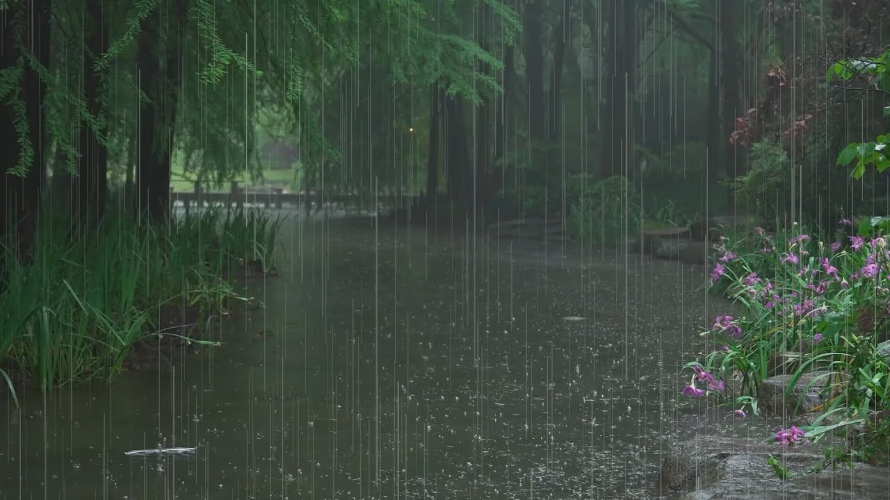 The beautiful little river is raining(130) , sleep, relax, meditate, study, work, ASMR