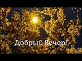 В закате каждом есть немного грусти  Добрый осенний вечер!