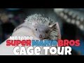 Nintendo Super Mario Brothers Cage Tour! (Finn the Lesser Tenrec DIY Cage)