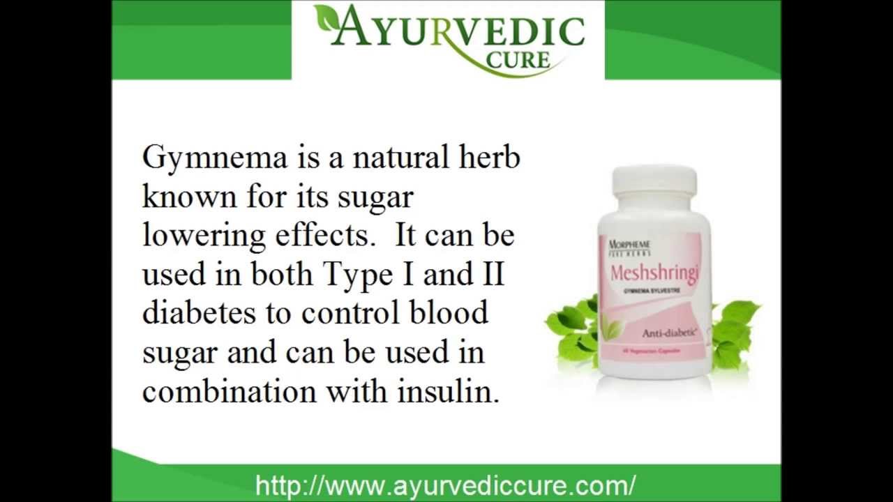 Herbal Supplements For Diabetes Benefits Of Gymnema Sylvestre YouTube