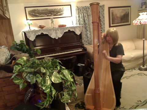 Fire and Rain- James Taylor on the lever harp