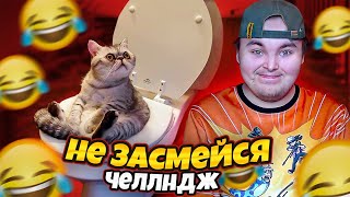 ЗАСМЕЯЛСЯ = ПРОИГРАЛ ЧЕЛЛЕНДЖ