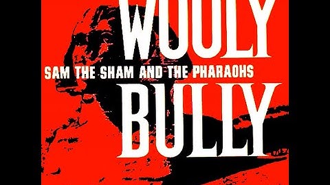 Wooly Bully Remix version - Remix performance video thumbnail