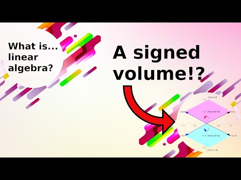 What is...the determinant?