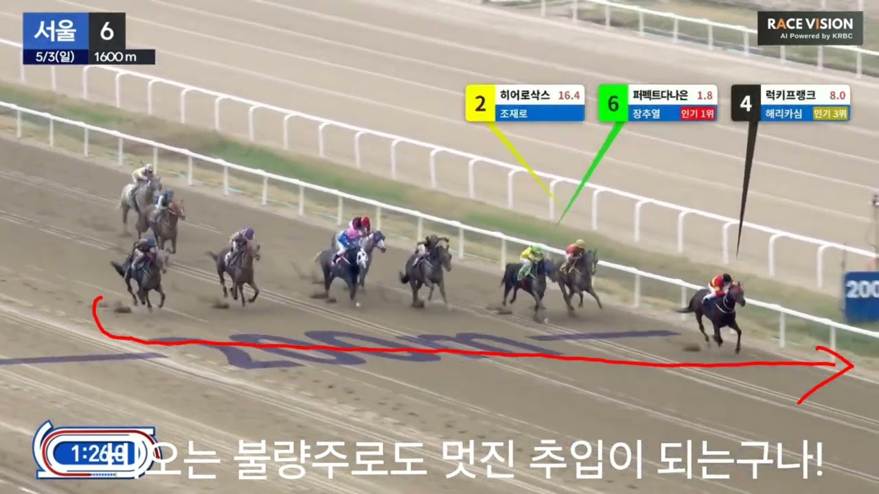 비오는 날도 멋진 추입이 되는구나? 