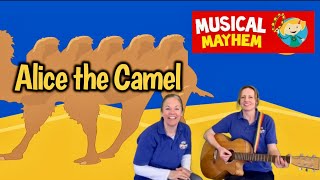 Video thumbnail of "Alice the Camel Has Five Humps | Go Alice Go | Musical Mayhem"