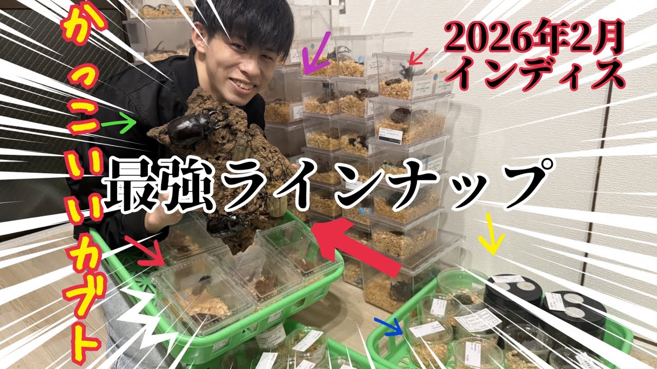 インディスで販売する商品を紹介します！