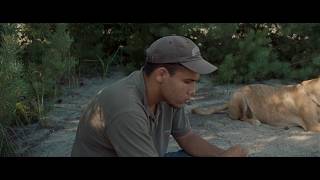 The Lights, They Fall (offizieller Trailer) | Ein Film von Saša Vajda | Ab 20. August im Kino