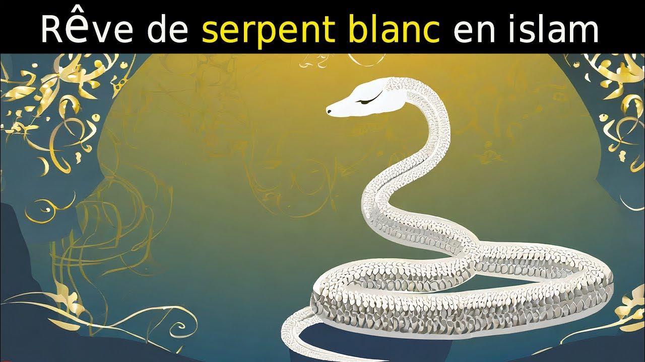 Rêve de serpent blanc en islam signification des reves interpretation des reves YouTube
