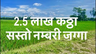 2 5 lakh Katha| 8 Katha| Sasto Krishi Jagga| Cheap| Agriculture Land For Sale at Nepal hamrobazar
