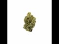 P2s We Get High REMIX Ft LOPAO ARGY P2s We Get High REMIX Ft LOPAO ARGY