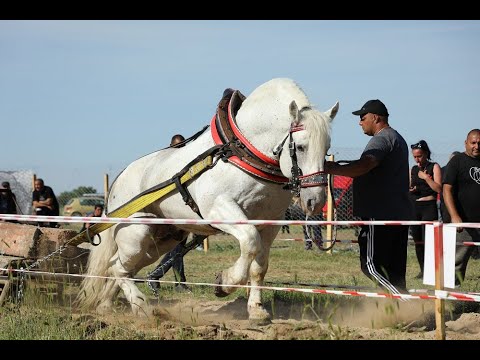 Видео: Как да изчислим дължината на крива