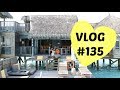 Vlog135 dream beach vacayyyyy maldives day1  anna cay 
