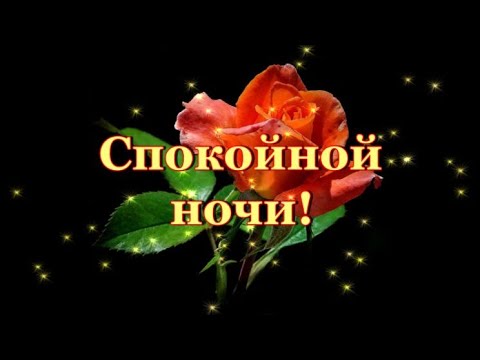 Спокойной ночи! Безмятежных снов!