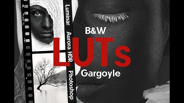 Black & White LUTs • for Luminar | Aurora HDR | Photoshop