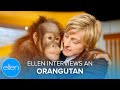 Ellen Interviews an Orangutan!