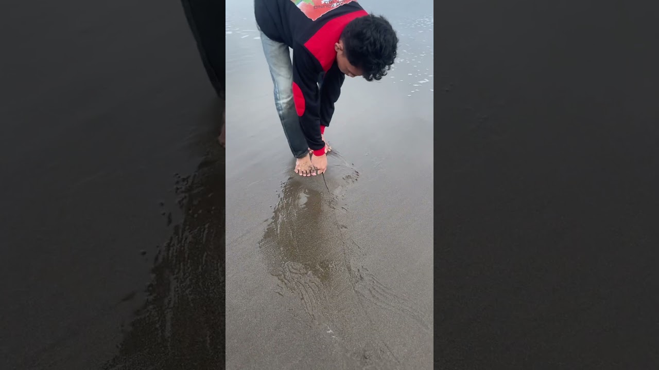 Cara Mencari Belut Pasir Di Pinggiran Laut Untuk Umpan Mancing