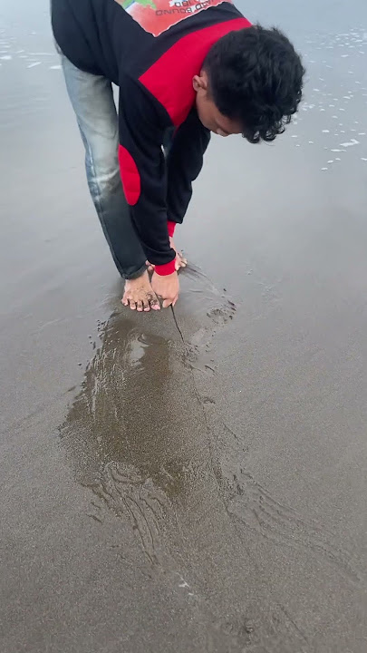 Cara Mencari Belut Pasir Di Pinggiran Laut Untuk Umpan Mancing