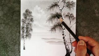 How today draw draw birch trees for beginners / How to draw eucalyptus tree?