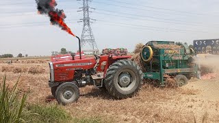MF tractor performance   tractor thresher# tractor video