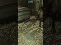 What happens if you toss a grenade in a room filled with thousands of cigarettes? #fallout3