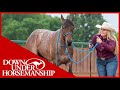 Method Ambassador Carson Bise - Downunder Horsemanship