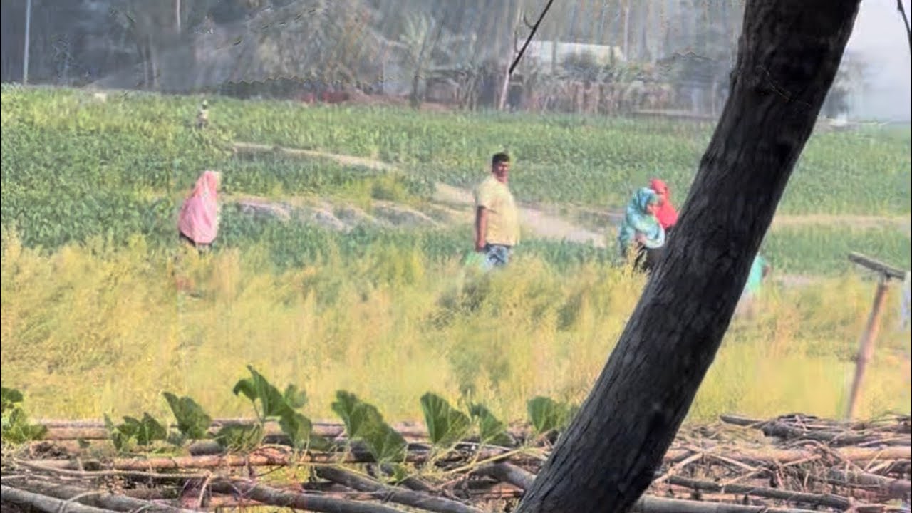 হুট করে আমাদের বাড়ি কে আসলো