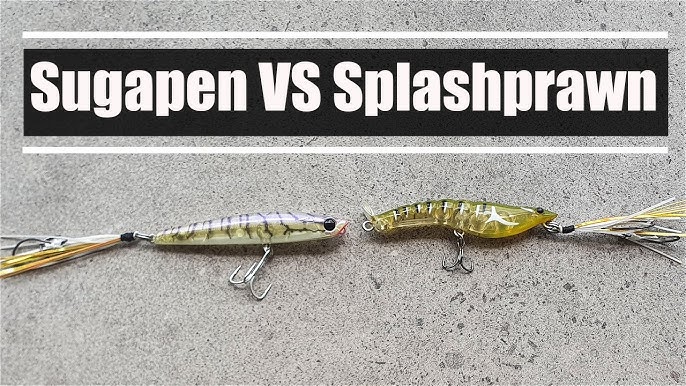 BASSDAY SUGAPEN SPLASH - OVERVIEW AND ON THE WATER TEST 