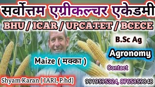 Agronomy for B.Sc Ag || Agronomy for UPCATET,BHU,ICAR, BCECE || Cultivation of Maize || M.Sc Ag ||