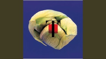 Thumbnail of Daisy Field