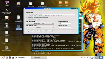 Tutorial para sacar DNS con namebench en Linux-Ubuntu