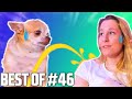 He literally PEED on me 🤦🤦🤦 | BEST OF #46