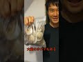 今日は友達んちでしゃぶしゃぶ　湧別産のホタテ