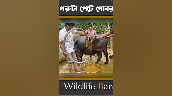 Coy operation।। পরিচয় পাওয়া গেলো ডাকাতদের; মিললো অবাক করা তথ্য | Bank Robbery | Ekattor TV।#shorts