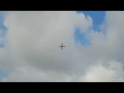 صيد الحجل في سوريا 