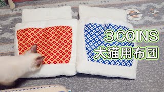 ３coinsの犬猫用布団を買って、猫さんたちの反応を見てみた。