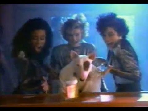 spuds mackenzie in classic budweiser ad 1988 youtube
