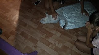 НЭНСИ РОЖАЕТ\ЧТО ПРИГОТОВИТЬ НА ОБЕД\ДЕЛАЕМ УБОРКУ\ДОМ В ДЕРЕВНЕ НЭНСИ РОЖАЕТ\ЧТО ПРИГОТОВИТЬ НА ОБЕД\ДЕЛАЕМ УБОРКУ\ДОМ В ДЕРЕВНЕ