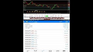 طريق الارباح النهائى للفوركس باذن الله لو اتبعت تلك التعليمات والتوصيات يوميا|Free Forex Signals screenshot 1