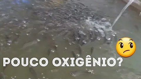 Tem oxigênio na água?