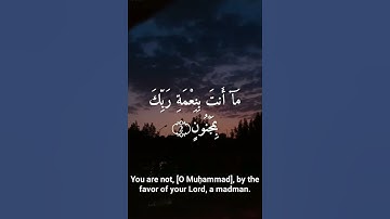 القرآن الكريم سورة القلم
