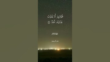 تلاوة عطره من سورة الفجر - بصوت القارئ عمر الدريويز🌿🧡.