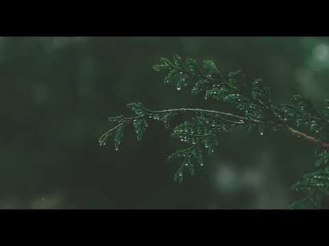 Сура Аль-Муминун (Верующие).